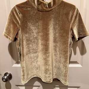 Madewell Gold Velvet Short Sleeve Top